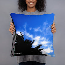 Load image into Gallery viewer, Attractive Pillow Comebeyond Art Photography