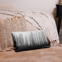 Load image into Gallery viewer, Inspiring Pillow ComeBeyond Art Photography