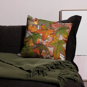 Decorative Premium Pillow ComeBeyond Art Photography